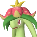 Dinossom Saddle