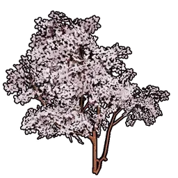 Faux Cherry Blossoms Set