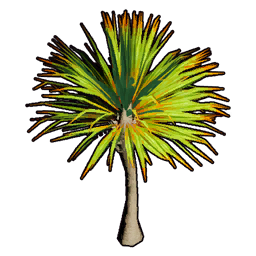 Faux Desert Greenery Set