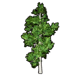 Faux Greenery Set