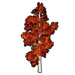 Faux Crimson Foliage Set